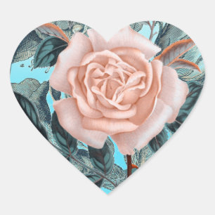 Zalm Roze shabby roos Hart Sticker