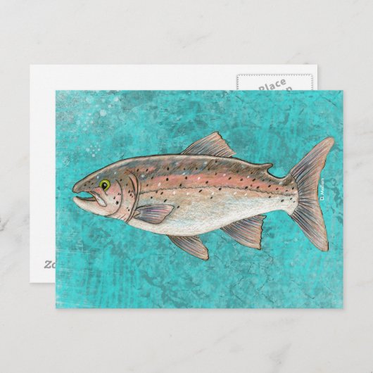 Zalm Sketch Briefkaart (Voorkant / Achterkant)