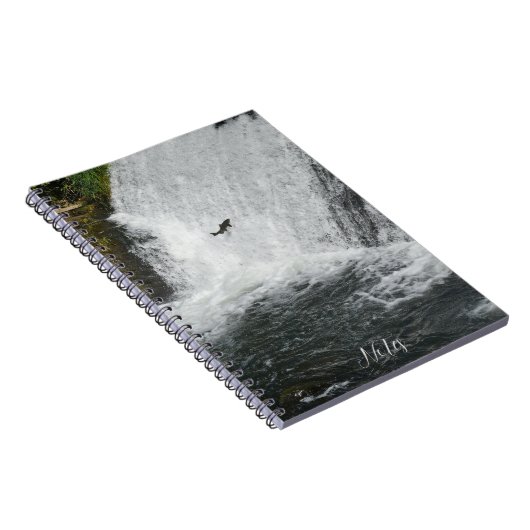 Zalm springen waterval notitieboek (Rechterzijde)