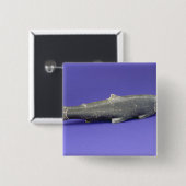 Zalm uit Cape Dorset Vierkante Button 5,1 Cm (Voorkant /achterkant)