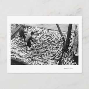 Zalm uit de foto van Vissen bots verwijderen Briefkaart