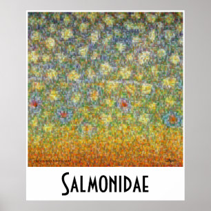 Zalmachtigen Maand Poster