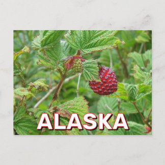 Zalmbessen in Alaska Briefkaart