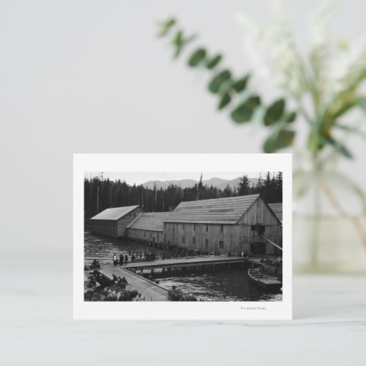 Zalmkankerij nabij Ketchikan, Alaska Briefkaart (Staand voorkant)