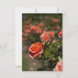 Zalmkleurig Roos Notitiekaartje