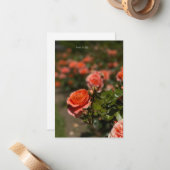 Zalmkleurig Roos Notitiekaartje (Voorkant / Achterkant in situ)