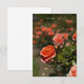 Zalmkleurig Roos Notitiekaartje (Voorkant / Achterkant)