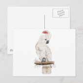 Zalmkool-Crested Cockato door Edward Lear Briefkaart (Voorkant / Achterkant)