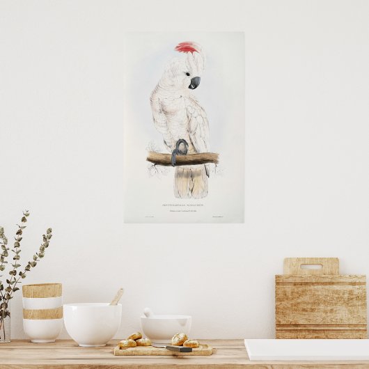 Zalmkruid Poster (Keuken)