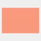 Zalmroze effen kleur | Klassiek | Elegant Inpakpapier Vel (Voorkant 3)