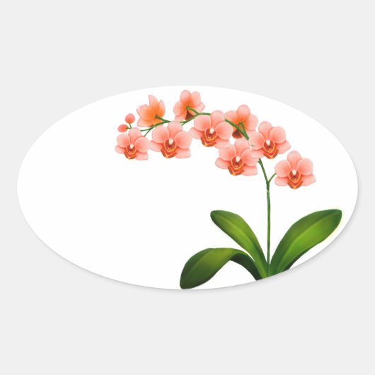 Zalmroze Phalaenopsis Orchid Flowers Stickers (Voorkant)