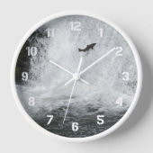 Zalmspringen Cascading Waterval (Voorkant)