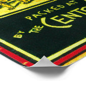 Zalmzalm met noordelijke lampjes kan LabelAlimak,  Poster (Hoek)