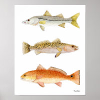 Zaltwaterwild vis — snoek, zeeforel en roodbaars