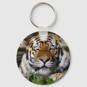 Zambar Tiger Keyring Sleutelhanger (Voorkant)