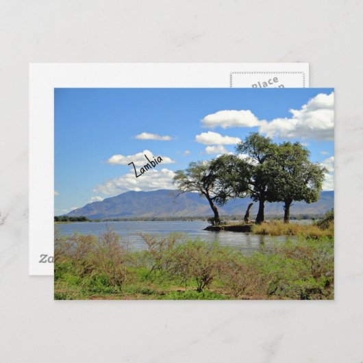 Zambia-landschap Briefkaart (Voorkant / Achterkant)