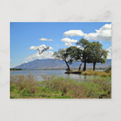 Zambia-landschap Briefkaart (Voorkant)