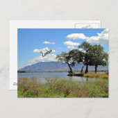 Zambia-landschap Briefkaart (Voorkant / Achterkant)