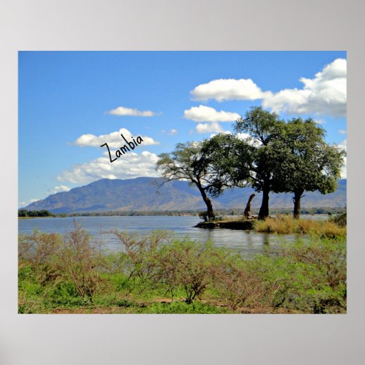 Zambia-landschap Poster (Voorkant)