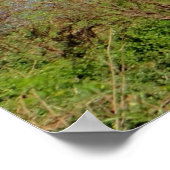 Zambia-landschap Poster (Hoek)