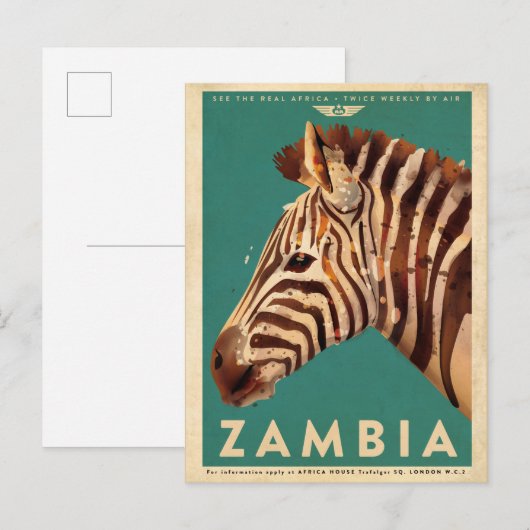 Zambia-Zebra Briefkaart (Voorkant / Achterkant)