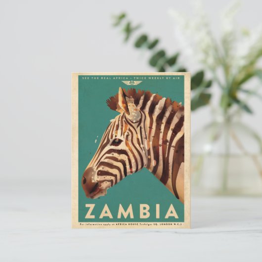  Zambia-Zebra Briefkaart (Staand voorkant)