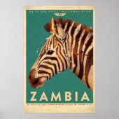  Zambia-Zebra Poster (Voorkant)