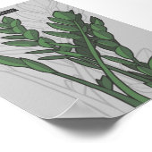 Zamioculcas zamiifolia ZZ Plant Poster (Hoek)