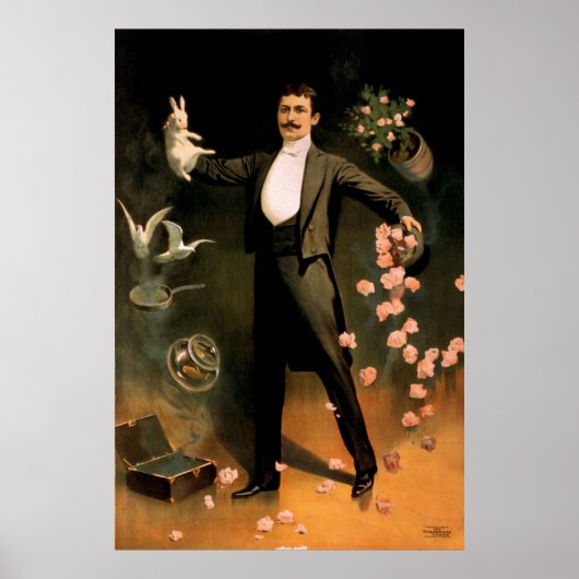 Zan Zig predikt met konijn en roos Poster (Voorkant)