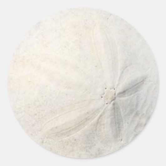 Zand Dollar Beach Party Ronde Sticker (Voorkant)