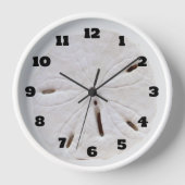 Zand Dollar Beach Seashells Beach Trendy Gift (Voorkant)