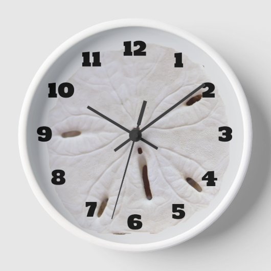 Zand Dollar Beach Seashells Beach Trendy Gift (Voorkant)