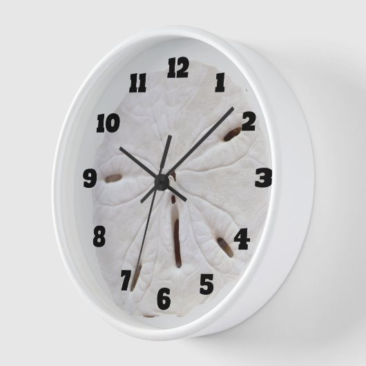 Zand Dollar Beach Seashells Beach Trendy Gift (Hoek)