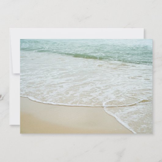 Zand Dollar Bruiloft Foto's Dank u Kaarten (Achterkant)