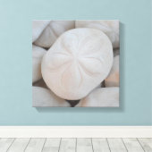 Zand Dollar Canvas Kunst (Insitu (Houten vloer))