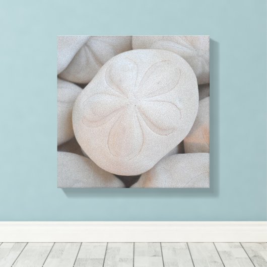 Zand Dollar Canvas Kunst (Insitu (Houten vloer))