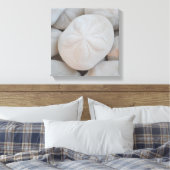 Zand Dollar Canvas Kunst (Insitu (Slaapkamer))