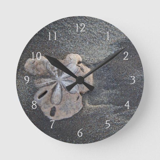 Zand-dollar op zand ronde klok (Voorkant)