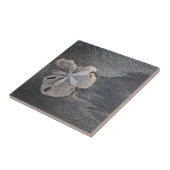 Zand-dollar op zand tegeltje (Zijkant)