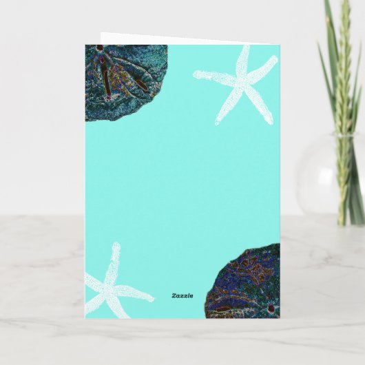 Zand Dollar Sea Shells Blauwgroen Abstract Strand  (Achterkant)