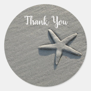 Zand Dollar Starfish Ocean Beach Dank u Ronde Sticker