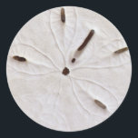 Zand Dollar Strand Kust Wit Grijs Rond Trendy Ronde Sticker<br><div class="desc">Ontworpen met afbeelding zanddollars en zeeschelpen op de achtergrond,  is dit perfect voor het strandthemadecor!</div>