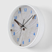 Zand Dollar Strand Kust Wit Grijs Trendy Schattige (Hoek)