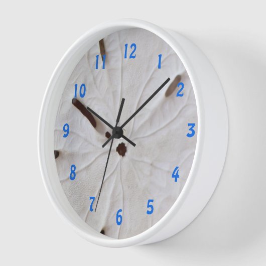 Zand Dollar Strand Kust Wit Grijs Trendy Schattige (Hoek)