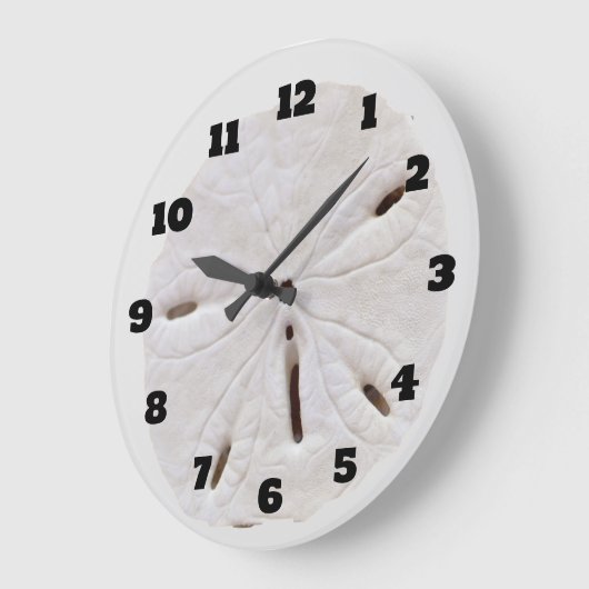 Zand Dollar Strand Zeeschelpen Strand Natuurlijke Grote Klok (Hoek)