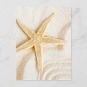 Zand en natuurlijke neutrale kleur van Starfish Briefkaart