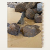 Zand- en steenplanner planner (Achterkant)