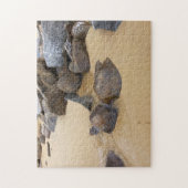 Zand en stenen legpuzzel (Verticaal)