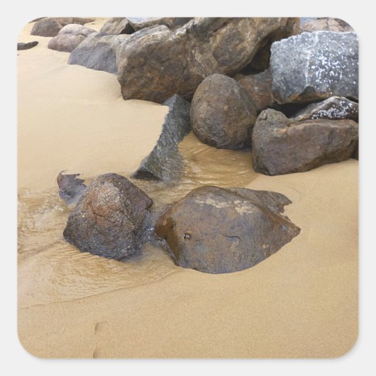 Zand en stenen vierkante sticker (Voorkant)