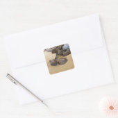 Zand en stenen vierkante sticker (Envelop)